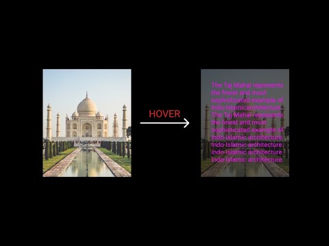 Image Hover Effect in HTML CSS With Source code | Box With Hover Effect CSS | 2022