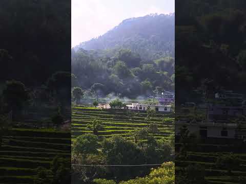 uttrakhand 😍🥰#ytshorts #travel #shorts #nature #amazinguttarakhand