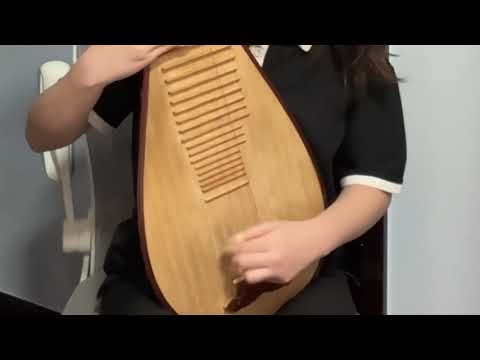 「Anytime Anywhere - milet」pipa cover - Sousou no Frieren ED