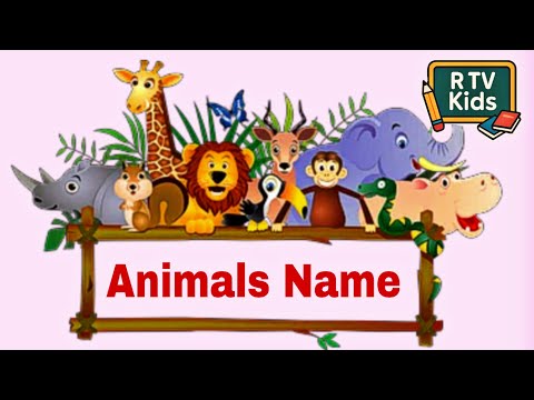 🐼 “Easy Animals Name Learning for Kids 📚 l #animals #wildlife 