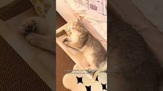 ACHADOS DA SHOPEE SUPER ÚTEIS QUE SUA CASA PRECISA #achadinhos #achados #casa #dicas