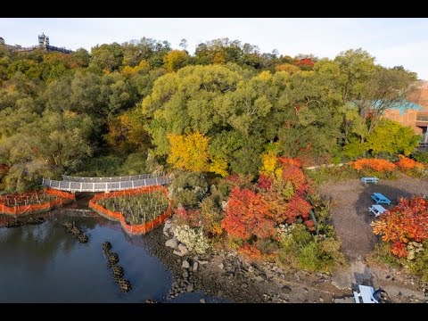 NYRP Talks: Climate, Community, and Coastal Resilience