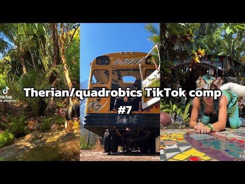 Therian/quadrobics TikTok Compilation #7 🍀🧿🌀