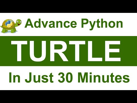 Full Python Turtle in Just 30 Minutes | Python Programming | Graphics Design|PY Master Apran Khunger