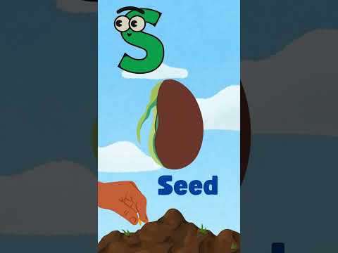 Learn ABCs| Letters P Q R S| #kidseducation #learningthroughfun #learnwithus