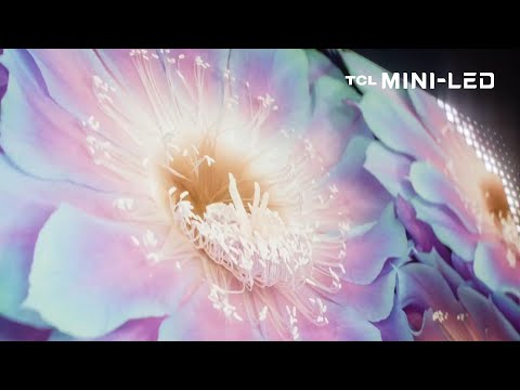 TCL Mini LED - Welcome To The Next Generation of TV