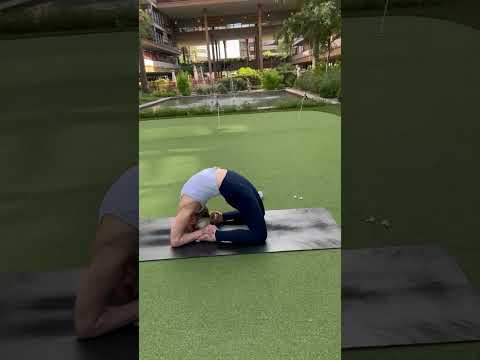 Learn Yoga Anatomy Online With Me