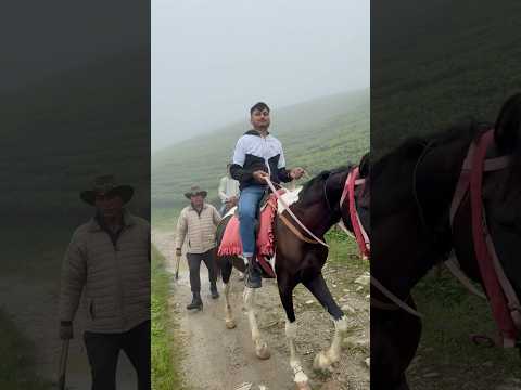 Two Brothers Horse Riding Through the Beautiful Tea Gardens of Ilam, Nepal 🇳🇵🍃 | Scenic Adventure