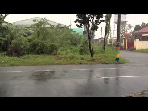 Rain in June