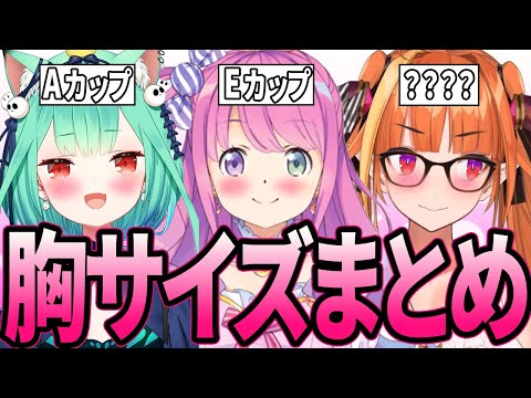 [Huge Accident] 23 Consecutive Hololive Members Revealed Their "Pee Size" During Streaming [Housh...