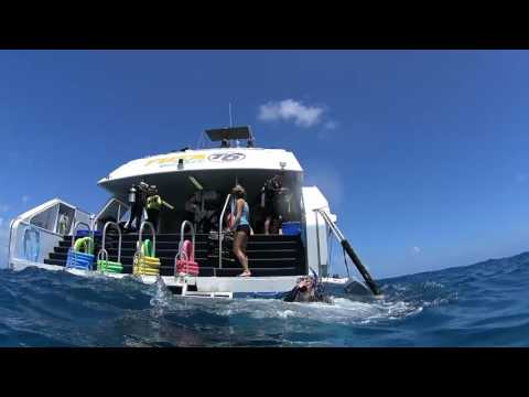 Diving Cairns October November December 2016