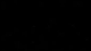who and what is this video?