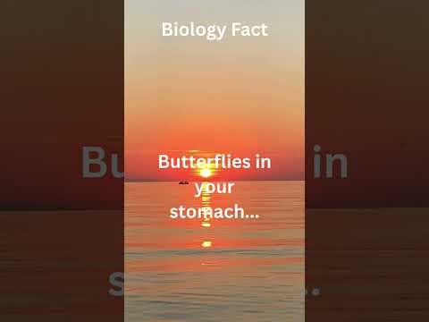 Biology Love Facts 8 #shorts #biology #love