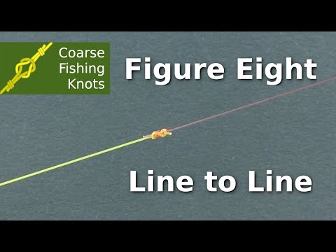 Figure of eight line to line knot