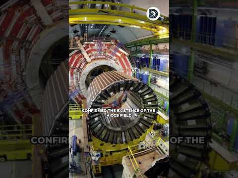 The discovery of the Higgs boson particle  #shorts