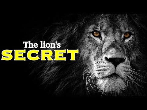 The Lion's Secret - Powerful Motivational Video