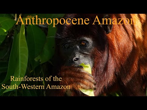 Anthropocene Amazon: Rainforest of the South Eastern Amazon | Free Wildlife Documentaries 