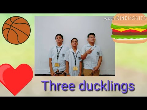 ID SELECTOR||| THREE DUCKS ||8SS1