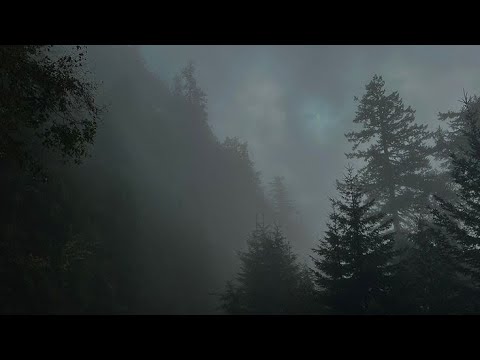the grey coast | pacific northwest gothic inspired playlist