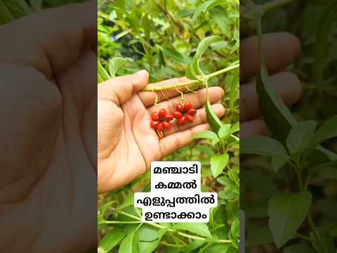 മഞ്ചാടിയിൽ എളുപ്പത്തിൽ ഹോൾ ഇട്ട് കമ്മൽ ഉണ്ടാക്കാം🔥💯#shorts#homebusiness #manjadi