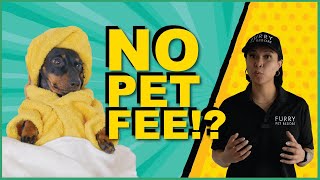 BEST Affordable Pet-Friendly Hotels in Las Vegas!