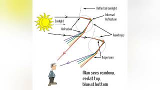 Refraction and Reflection of Light
