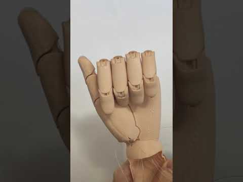 3D Printed Articuled Hand