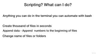 Bash - Create Scripts - for Beginners - learn Bash Shell