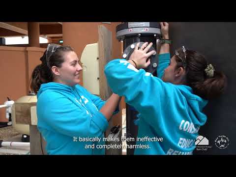 Featured: Green Mountain Energy Sun Club Grant Recipient - Sea Turtle, Inc.