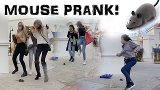 Mouse Prank! Vicious rodent terrorizes innocent shoppers 🐭 Great Laughs