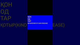 KAZAKH FUN 2 RHYME(SHORTS EDITION) #memerkz #kazakh #қазақтілі #fun2rhyme #shortsedition