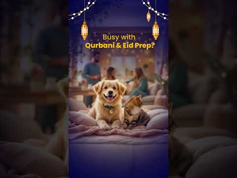 Pet Boarding Discount | 15% OFF at My Pet Hospital