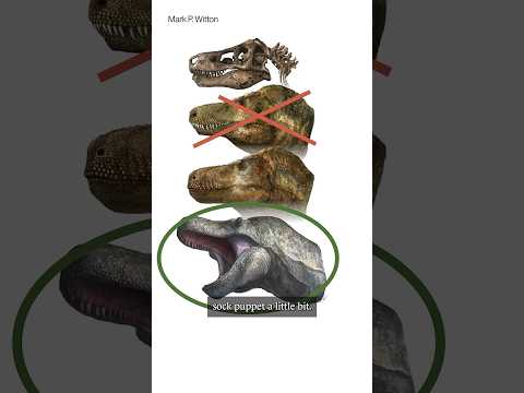 How do they know about dinosaur lips?