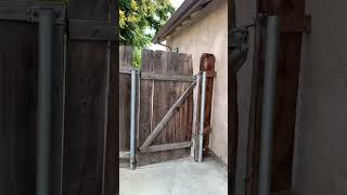 Back yard 💗  #shortvideo #travel #visitamerica #northamerica #usa #nature #usapeople #unitedstates
