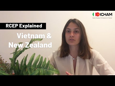 Vietnam - New Zealand | RCEP Explained
