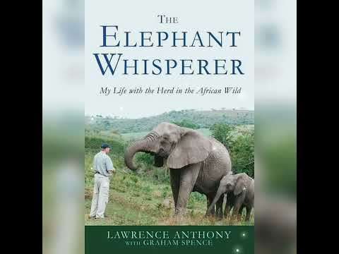 Books for Animal Lovers | Non-fiction #shorts @readingcorner123