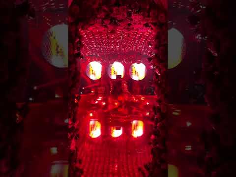 Wedding photography behind the scenes at 1 hotel south beach #canonr6 #weddingphotography