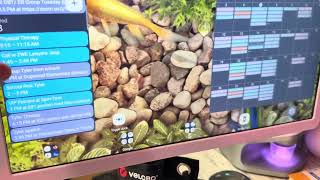 @cozylaofficial Discover cozyla Tablet: Apps, Screensavers & Cat-Approved Aquarium Screen! 🐾🐠