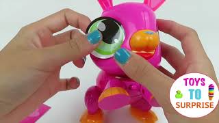 Build a Bot Rabbit Robot - Learn Robotics by ToystoSurprise