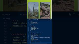css card hover effects & responsive || Coding Bash  #shortsvideo #shortsfeed #shorts #css