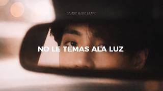 BTS - Like Animals // Sub. Español + Letras