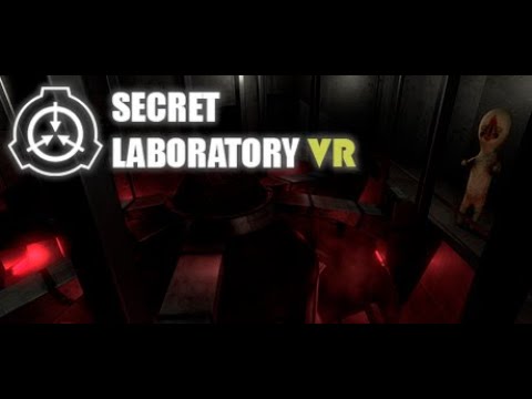 SCP: SL-VR || (Момент из стрима)