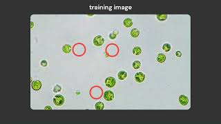 What Is Machine Learning?