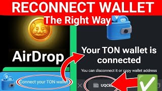 Hamster Kombat Withdrawal Update - Hamster kombat Wallet Connect Properly For Airdrop