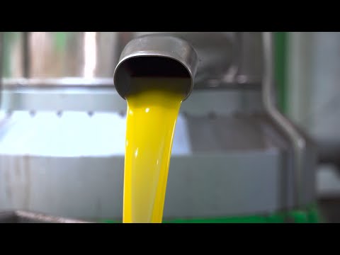 How Olive Oil Is Made