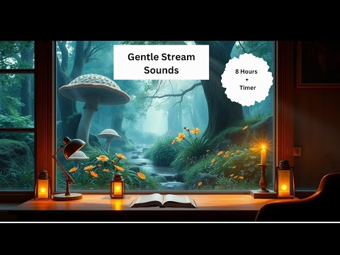 Gentle Stream Sounds for Study | 8 Hours with Timer