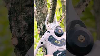 #agritools #farmer life #tonglufeng #agriculture #agritool #youtubeshorts #viral