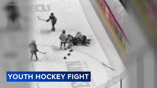 Brawl breaks out during 'Mites on Ice' intermission game in Hershey