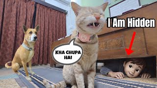 Hide & Seek Challenge | FUNNY VIDEO