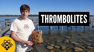 These Rocks Caused An Apocalypse